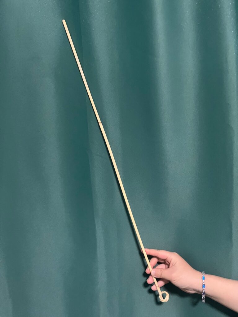 图片[1]-新加披家校常用藤条