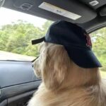 风林的头像-琉璃社区